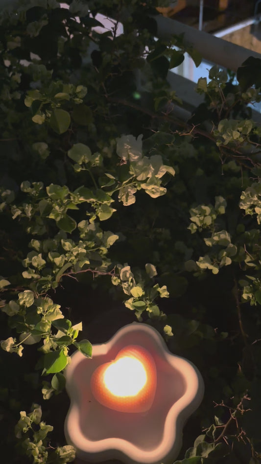 BLOOMING HOLD UP